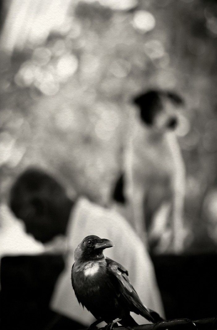 Street photograph by Rajiv CG