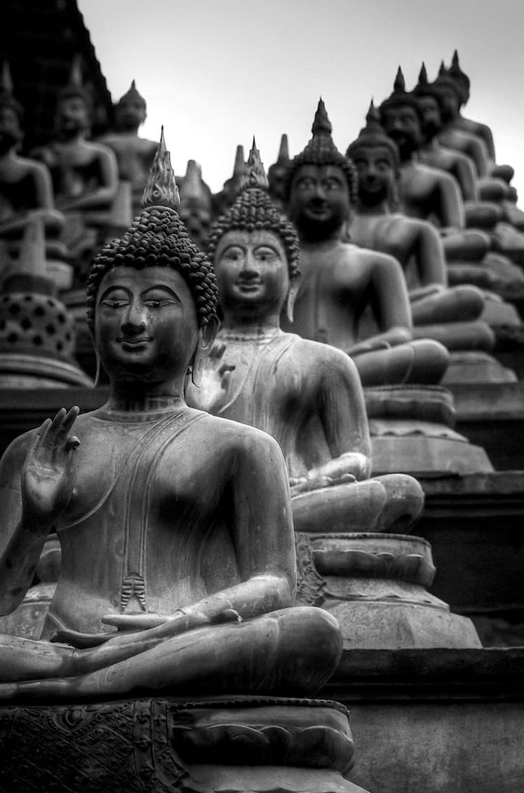 Photograph No. 10 by Rajiv CG